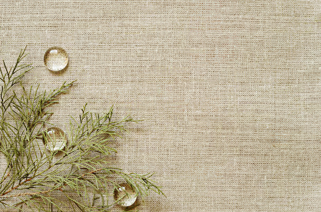 Organic  Ayurvedic  Fabrics